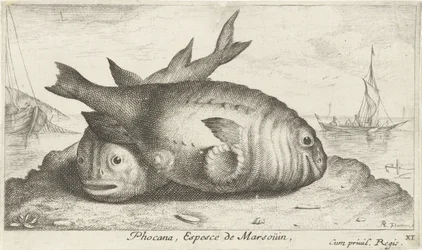 Deux marsouins sur la plage
Poissons de mer (série)