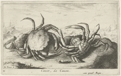 Deux crabes sur la plage (Poissons et autres animaux marins - première série)