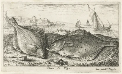 Deux poissons plats sur la plage (Poissons de mer)