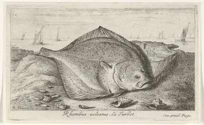 Deux turbots sur la plage