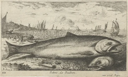 Deux saumons sur la plage (Vissen en andere zeedieren - zoutwater eerste reeks, Diverses Especes de Poissons de mer)