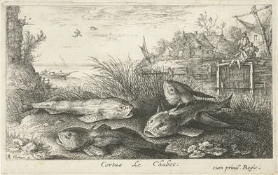 Quatre poissons sur une rive