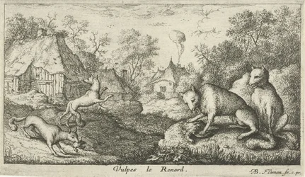 Renards (Vulpes le Renard) (Verschillende diersoorten)