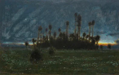 Luciole, Jamaïque