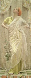 Oiseaux