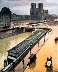 Jour de pluie. Notre-Dame de Paris