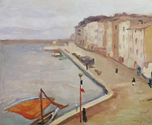 Le Port de Saint-Tropez