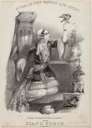Déploie Tes Ailes et Envole-toi !