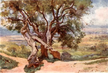 Campagna Romana, de Tivoli