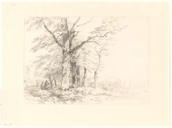 Étude de chênes dans un paysage