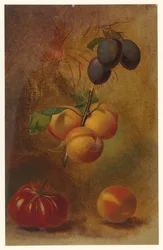 Nature morte avec prunes, abricots et tomate