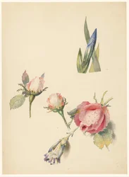 Feuille d