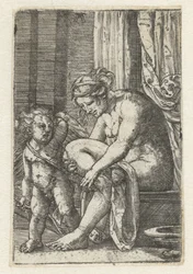 Vénus après le bain