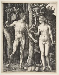 Adam et Ève, 1504