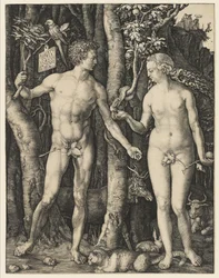 Adam et Ève, 1504