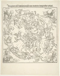 Carte céleste du ciel nord (Imagines coeli septentrionalis)