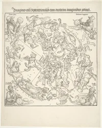 Carte céleste du ciel nord (Imagines coeli septentrionalis)