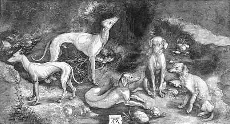 Groupe de chiens. D