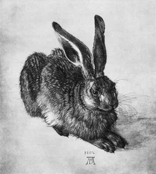 Lièvre, 1502, 1936