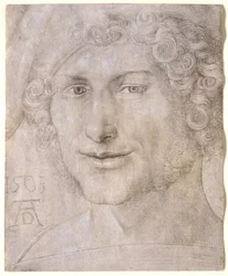 Tête d