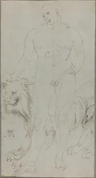 Nu masculin avec un lion (verso)