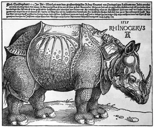 Rhinocéros, impression donnée à Maximilien Ier par le roi de Lisbonne