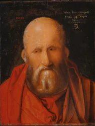 Saint Jérôme, 1514