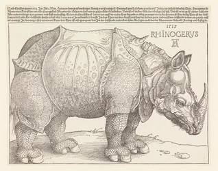 Le Rhinocéros