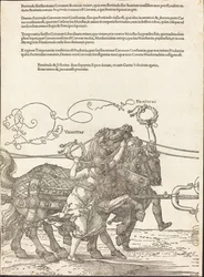 Le char triomphal de Maximilien I (Le Grand Char Triomphal) [plaque 5 de 8]