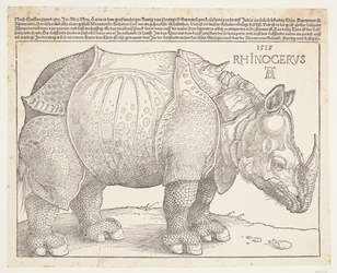 Le rhinocéros