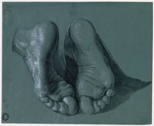 Étude de pieds - Dessin de Albrecht Dürer
