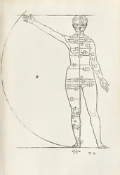 Gravure anatomique féminine de 