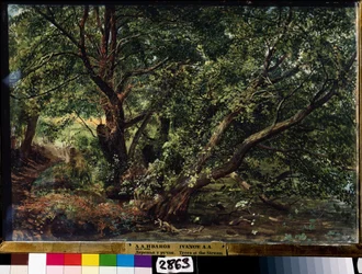 Les arbres de la rivière