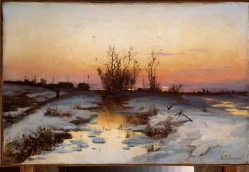 Soir, floraison des aulnes
