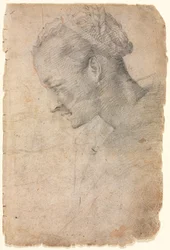 Profil de tête de femme, seconde moitié des années 1500