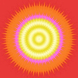 Éclats au soleil, 2019