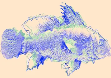 Poisson IV, 2020