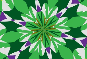 fleurs #25
