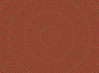ornement #2, 2019