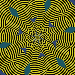 symétrie #13