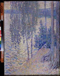 Les bouleaux