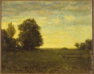 Un pré avec des arbres