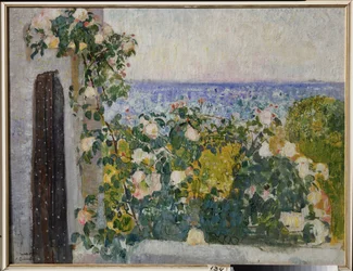 Fleurs sur le balcon à Rome (Italie)