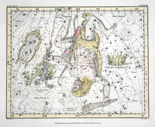 Les Constellations (Planche VIII) Couronne Boréale, Hercule et Cerbère, Lyre, de 