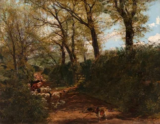Soleil de printemps : Un chemin près de Melrose