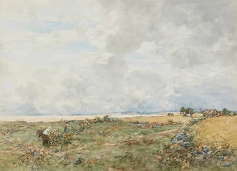 Cueilleurs de mûres