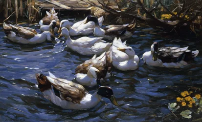 Canards dans les roseaux sous les branches