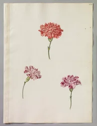 Alexander Marshal (RCIN 924389)