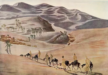 Dunes (Beni-Abbes)