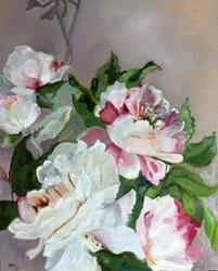Pivoines roses et blanches